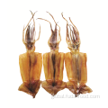 Dried Cuttlefish DRIED SQUID (ARGENTINA) Supplier